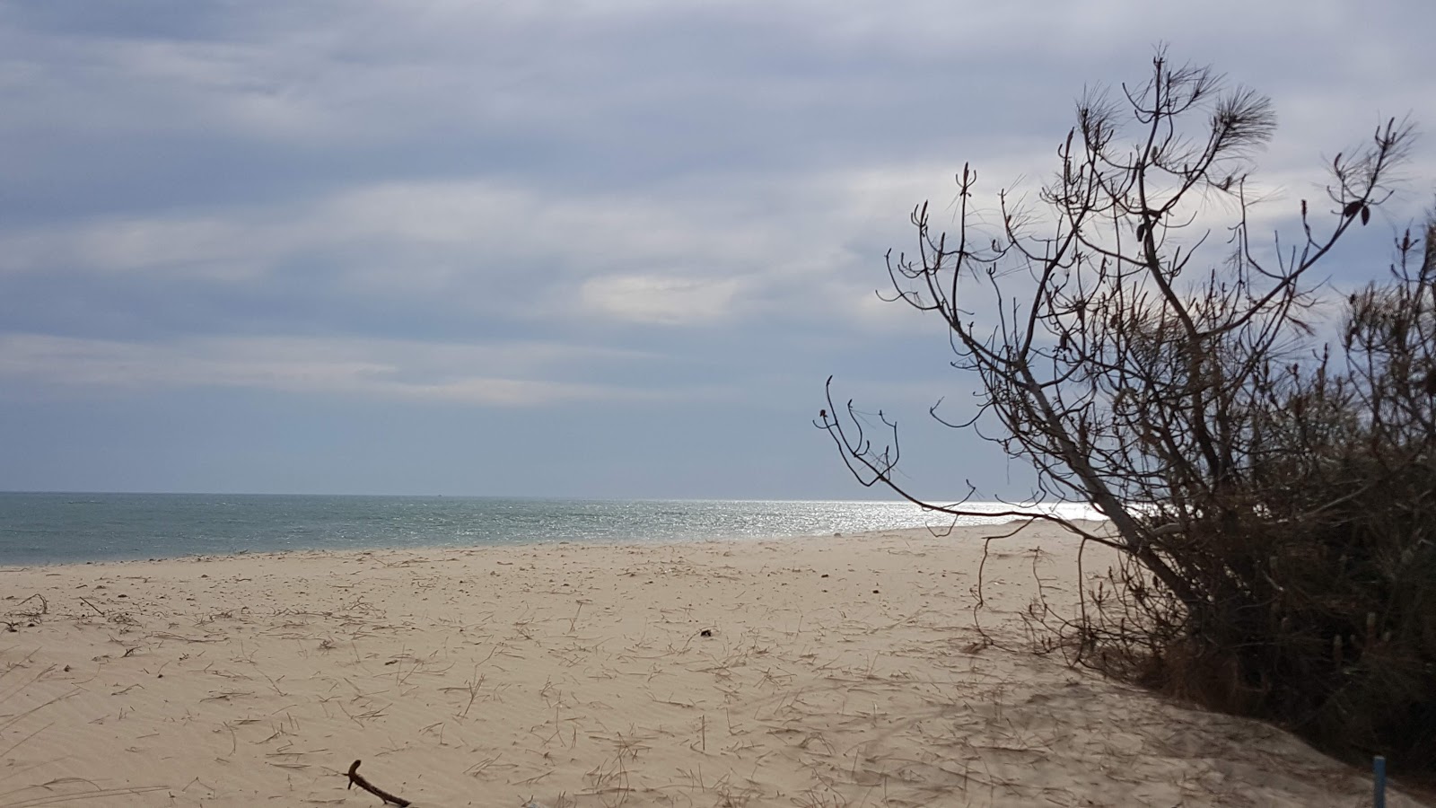 Foto von Pointe du Cap Ferret - beliebter Ort unter Entspannungskennern