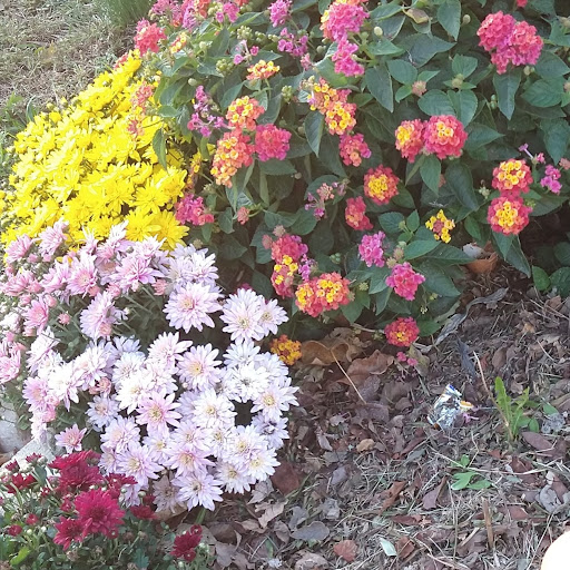 Thrift Store «Second Blessing Thrift Store Inc.», reviews and photos, 2323 Central Ave, Wichita, KS 67214, USA