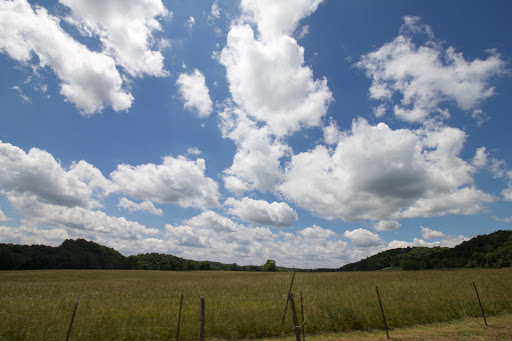 Tourist Attraction «Adventureworks Nashville West (Kingston Springs)», reviews and photos, 1300 Narrows of the Harpeth Rd, Kingston Springs, TN 37082, USA