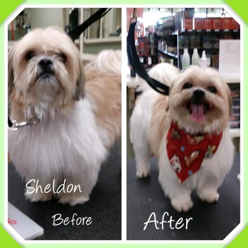 Pet Supply Store «EarthWise Pet Supply & Grooming», reviews and photos, 245 Fries Mill Rd, Blackwood, NJ 08012, USA