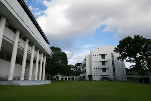 Miriam College Higher Education Unit image