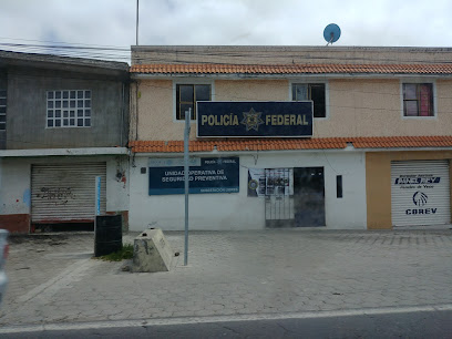 Policia Federal De Libres Puebla