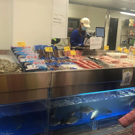 Supermarket «Western Beef Supermarket», reviews and photos, 44-44 College Point Blvd, Flushing, NY 11355, USA