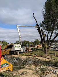 E.L.M. Tree Care - Photo 4 - Car repair in Murrieta, CA, Murrieta