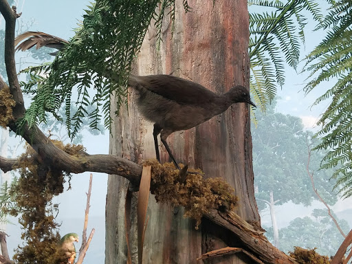 Natural History Museum «Denver Museum of Nature & Science», reviews and photos, 2001 Colorado Blvd, Denver, CO 80205, USA