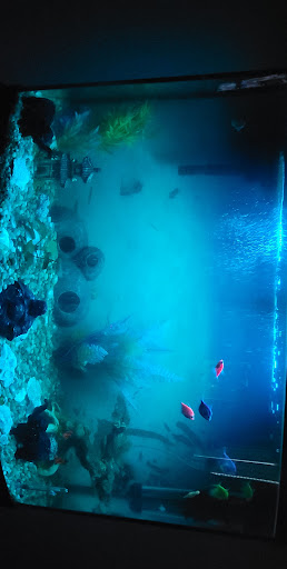 Pet Supply Store «Petco Animal Supplies», reviews and photos, 3264 Buford Dr NE #110, Buford, GA 30519, USA