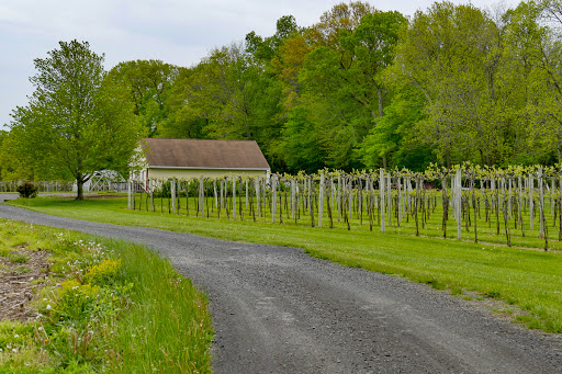 Vineyard «Rushland Ridge Vineyards & Winery», reviews and photos, 2665 Rushland Rd, Jamison, PA 18929, USA