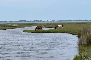 Assateague State Park Headquarters image