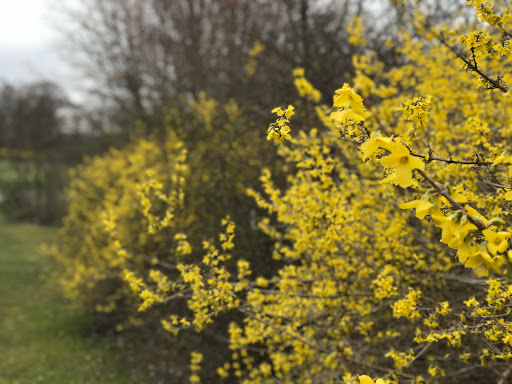 Golf Course «Beekman Golf Course & Restaurant», reviews and photos, 11 Country Club Rd, Hopewell Junction, NY 12533, USA