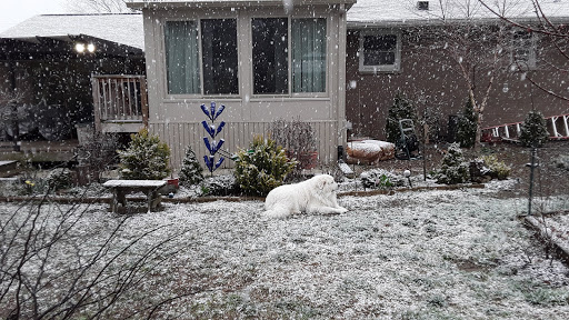 Pet Supply Store «Pet Supplies Plus», reviews and photos, 1213 Mentor Ave, Painesville, OH 44077, USA