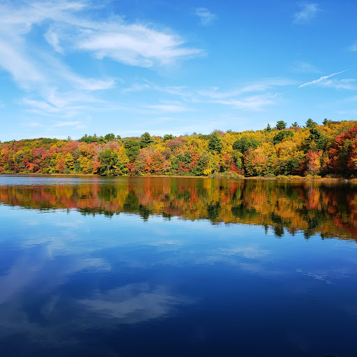 Rocky Pond