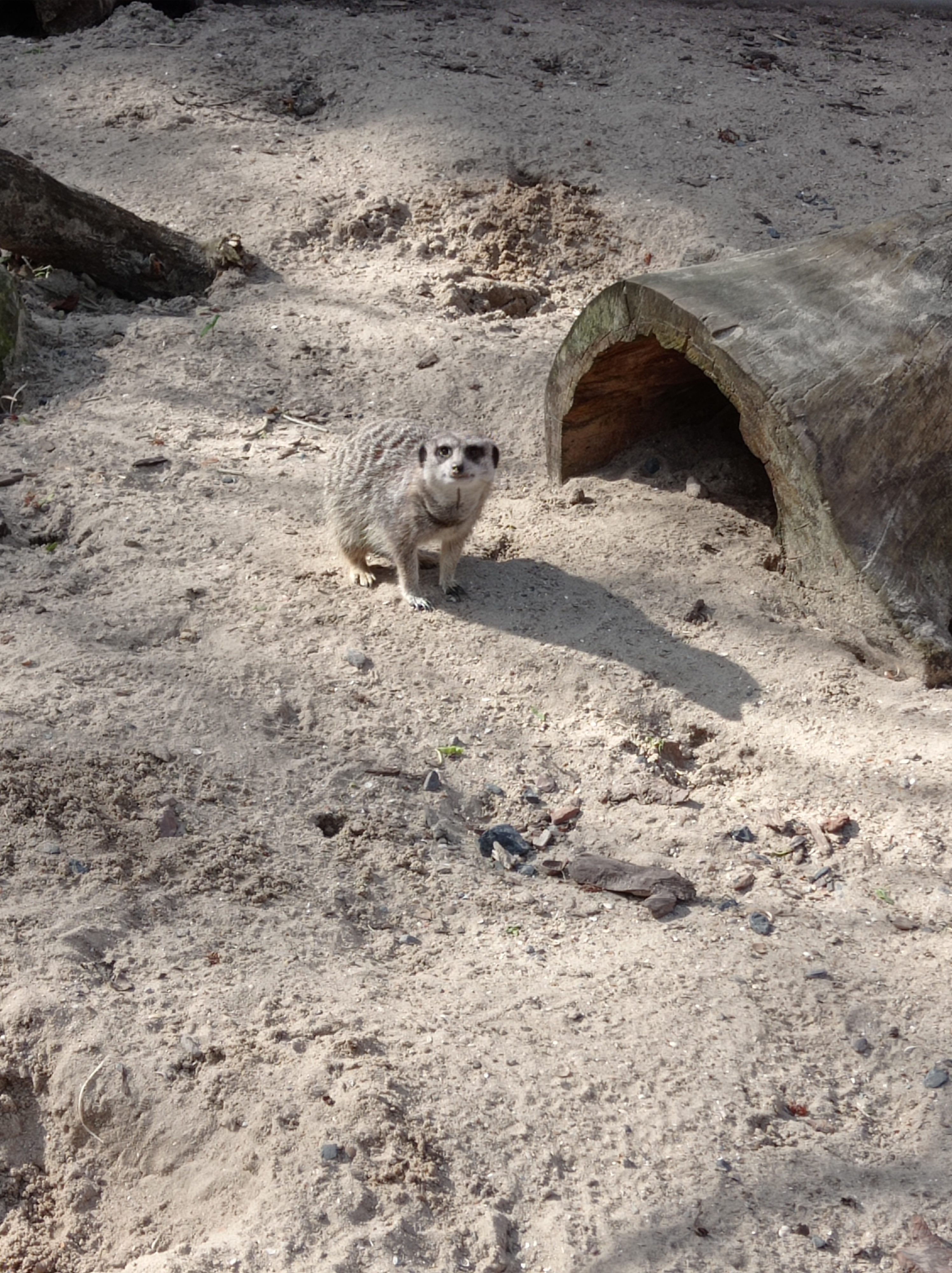 Photo n° 6 de l'avis de Artemis. fait le 16/04/2023 à 12:48