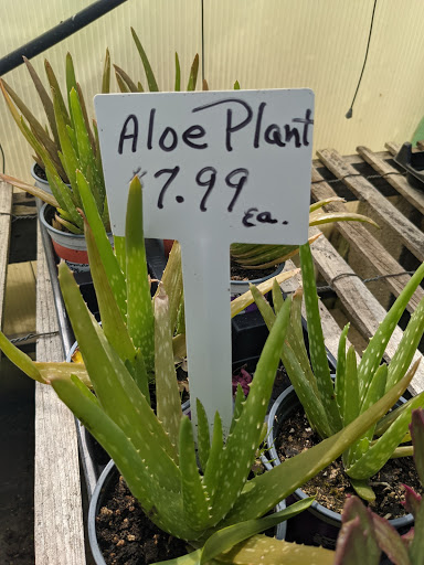 Wholesale Plant Nursery «Garden Fantasy», reviews and photos, 43250 Tyler Rd, Belleville, MI 48111, USA