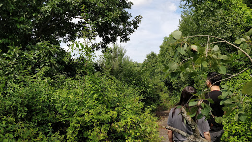 Country Club «Wayland Country Club», reviews and photos, 121 Old Sudbury Rd, Wayland, MA 01778, USA