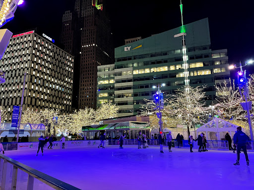 Detroit Ice Rink image 9