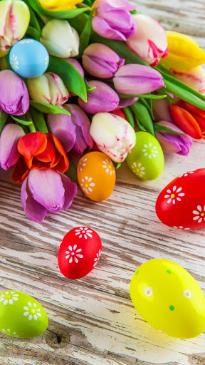 Florist «Viviano Flower Shop», reviews and photos, 50626 Van Dyke, Shelby Charter Township, MI 48317, USA