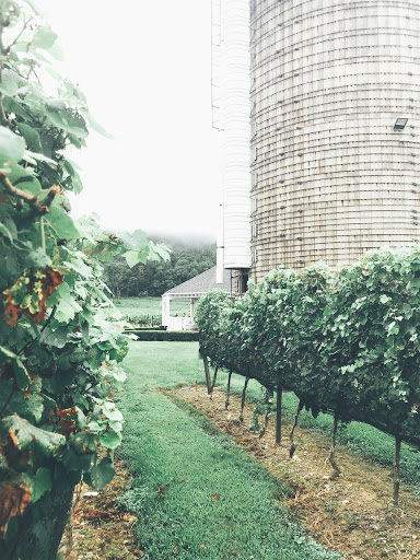 Winery «Doukenie Winery», reviews and photos, 14727 Mountain Rd, Purcellville, VA 20132, USA