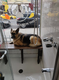 Bushwick Bark on Knickerbocker - Photo 5 - Car repair in Brooklyn, NY, New York