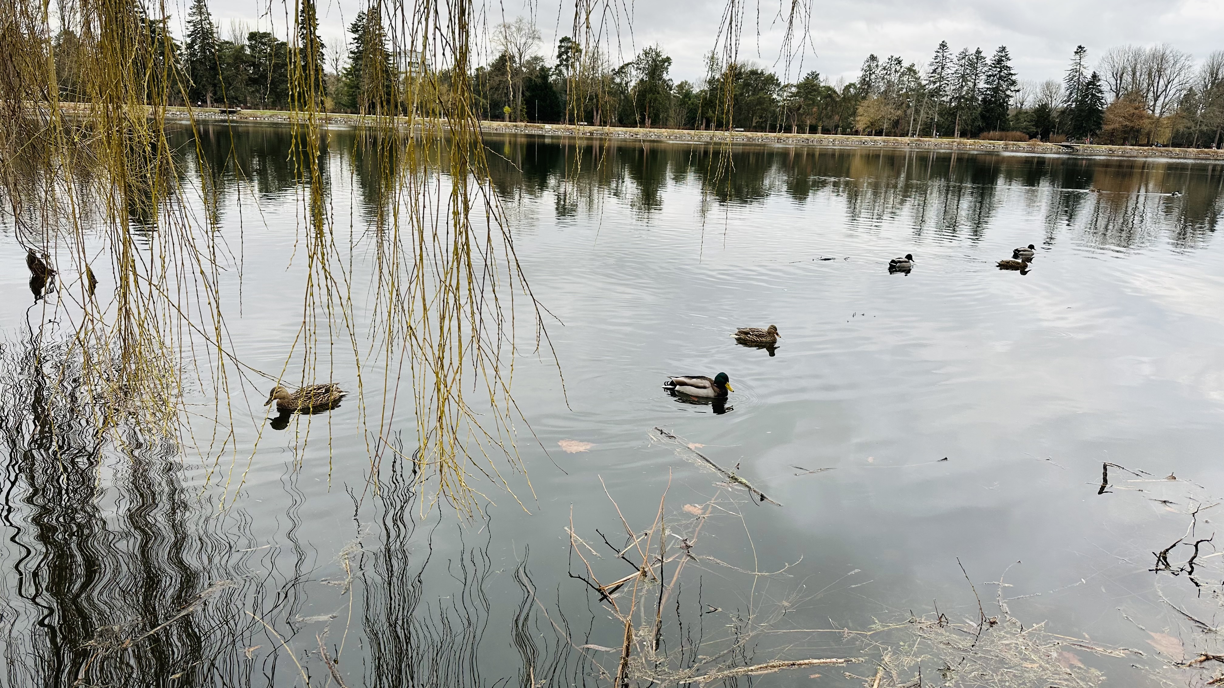 Photo n° 2 de l'avis de Rami.M fait le 25/02/2023 à 10:19