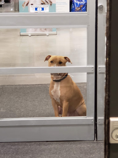 Pet Store «PetSmart», reviews and photos, 850 Folly Rd, Charleston, SC 29412, USA