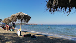 Mikro Kavouri beach'in fotoğrafı imkanlar alanı