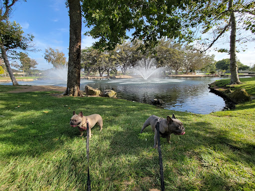 Bark Park