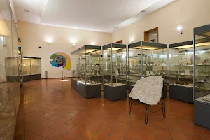 Paleontological Museum image