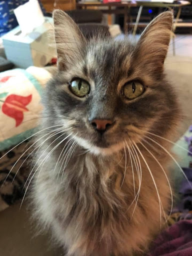 Museum «Museum of the Moving Image», reviews and photos, 36-01 35th Ave, Queens, NY 11106, USA