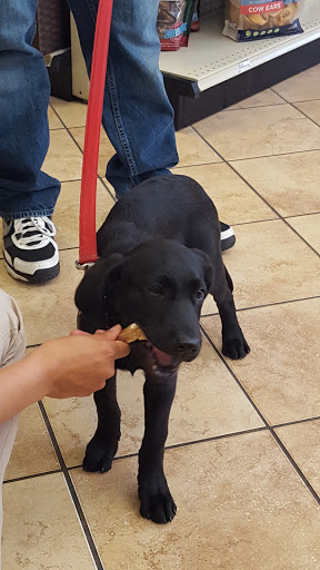 Pet Supply Store «Pet Food Gone Wild», reviews and photos, 2415 Southern Blvd SE, Rio Rancho, NM 87124, USA