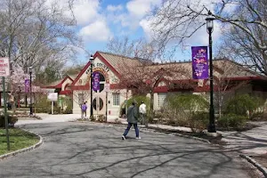 Cherry Blossom Welcome Center image