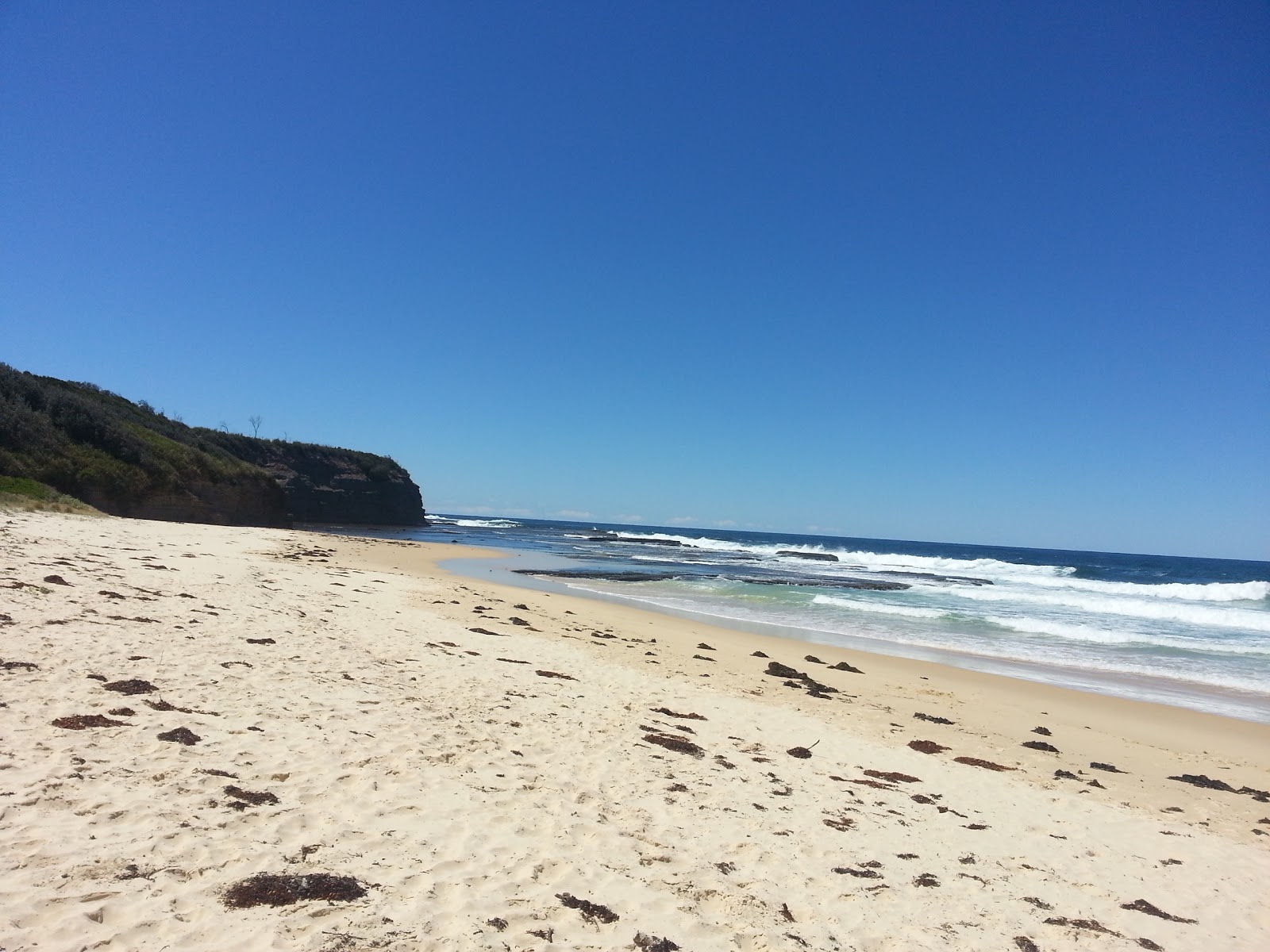 Photo de Rennies Beach - bon endroit convivial pour les animaux de compagnie pour les vacances