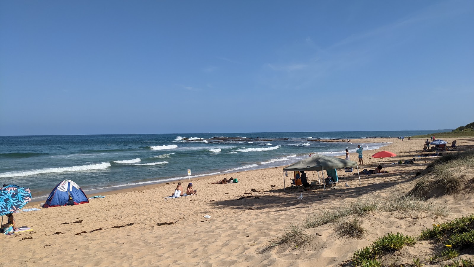 Photo de Coledale Beach avec un niveau de propreté de très propre