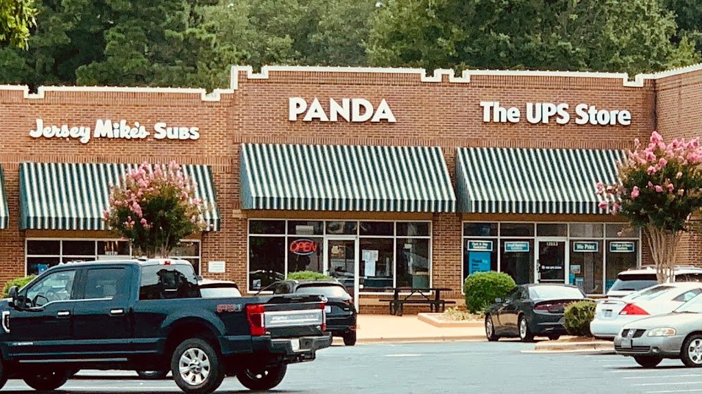 Panda 28104