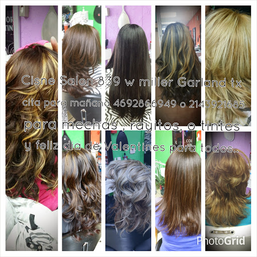 Beauty Salon «Cisne Beauty Salon», reviews and photos, 839 W Miller Rd, Garland, TX 75041, USA