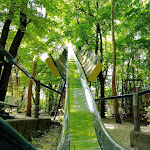 Photo n°3 de l'avis de Giuseppe.u fait le 20/10/2023 à 16:42 sur le  Osteria Ai Pioppi à Nervesa della Battaglia