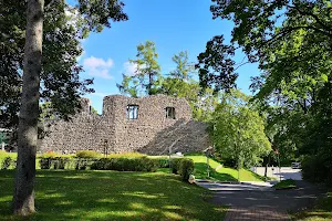 Ruins of the Livonian Order Castle image