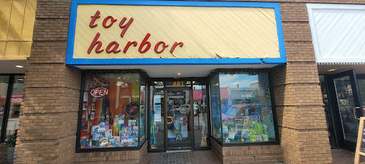 Toy Store «Toy Harbor», reviews and photos, 221 E Front St, Traverse City, MI 49684, USA