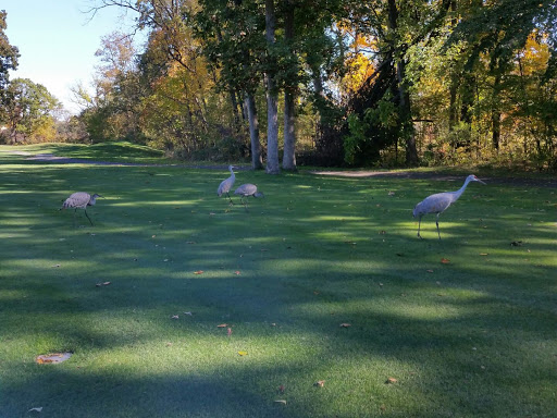 Golf Course «Pierce Lake Golf Course», reviews and photos, 1175 South Main Street, Chelsea, MI 48118, USA
