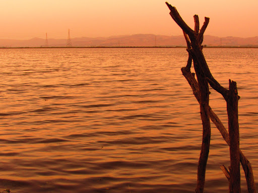 Nature Preserve «Cullinan Ranch», reviews and photos, 1158 Sears Point Rd, Vallejo, CA 94592, USA