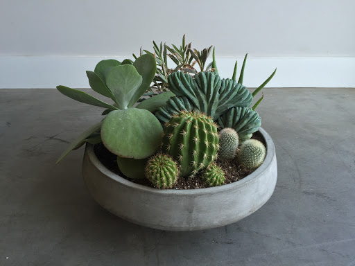 Florist «Camelback Flowershop», reviews and photos, 4108 E Indian School Rd, Phoenix, AZ 85018, USA