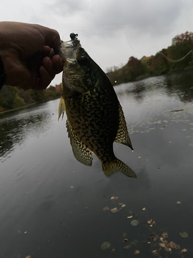 Park «Friends of Van Cortlandt Park», reviews and photos, 80 Van Cortlandt Park S, Bronx, NY 10463, USA