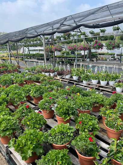 Saenz Greenhouses and Produce Growers