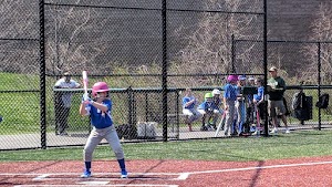 Rye Brook Athletic Fields - photo 3