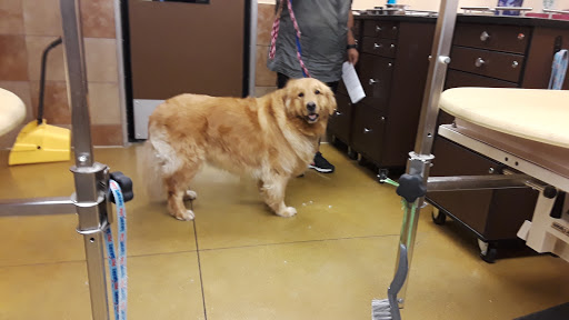 Pet Supply Store «PetSmart», reviews and photos, 2730 Pacific Coast Hwy, Torrance, CA 90505, USA