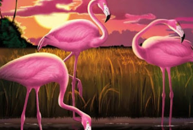 Flamingo landscaping
