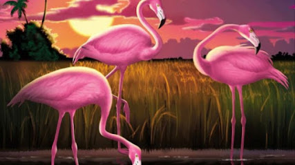 Flamingo landscaping