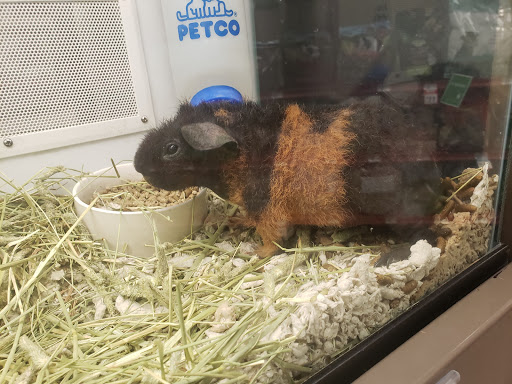 Pet Supply Store «Petco Animal Supplies», reviews and photos, 1450 Twixt Town Rd, Marion, IA 52302, USA