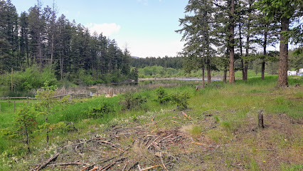 Pendleton creek recreation site