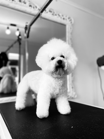 La Couture Dog Grooming