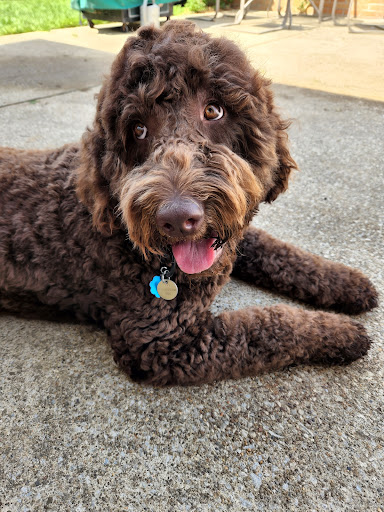 Pet Supply Store «Pet Supplies Plus», reviews and photos, 7570 Pearl Rd, Middleburg Heights, OH 44130, USA